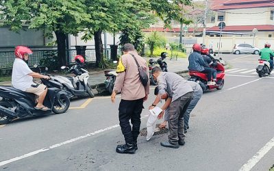 Bhabinkamtibmas Timuran Bersama Linmas Gotong royong Menutup Jalan Berlubang