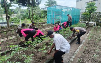 Bhabinkamtibmas Pucang Sawit Sambangi Poktan Jagung Berikan Motivasi