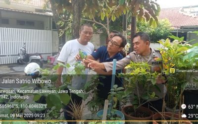 Sinergi Hijau: Bhabinkamtibmas dan Kelurahan Purwosari Manfaatkan Lahan Kosong Jadi Pekarangan Bergizi
