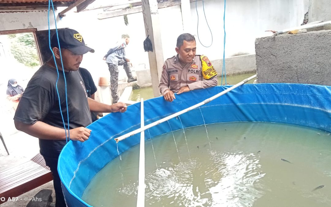 Bhabinkamtibmas Purwosari Sambangi Kampung Todipan, Apresiasi Budidaya Lele dan Maggot oleh Pemuda Setempat