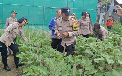 Jaga Stabilitas Pangan, Polresta Surakarta Rutin Sambangi Petani