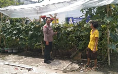 Dukung Ketahanan Pangan, Bhabinkamtibmas Gajahan Pantau Tanaman Warga Binaan