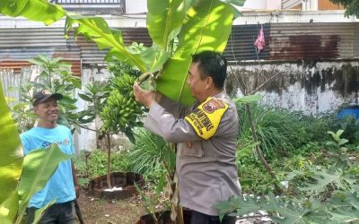 Dukung Ketahanan Pangan, Bhabinkamtibmas Gajahan Pantau Tanaman Warga Binaan