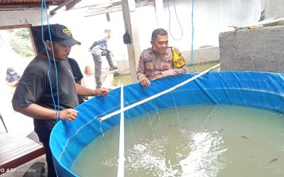 Dukung Ketahanan Pangan, Bhabinkamtibmas Purwosari Kunjungi Budidaya Lele di Wilayah Binaan