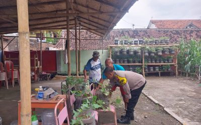 Bhabinkamtibmas Tipes Sambangi dan Pantau Lahan Ketahanan Pangan di Pringgolayan