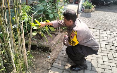 Dukung Ketahanan Pangan, Bhabinkamtibmas Pasar Kliwon Monitoring Tanaman di Pekarangan Sekolah