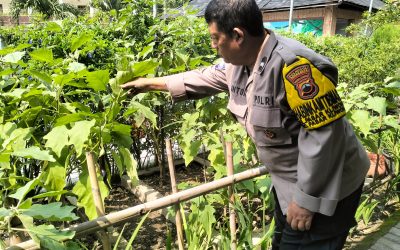 Bhabinkamtibmas Pasar Kliwon Sambangi SD YIPD Diponegoro, Monitoring Program Ketahanan Pangan