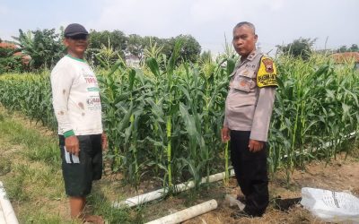 Bhabinkamtibmas Karangasem Sambangi Kelompok Tani Bulak Indah, Dorong Semangat Tingkatkan Hasil Panen