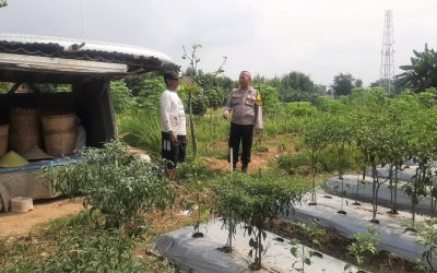 Dukung Program Pemerintah, Bhabinkamtibmas Karangasem Sambangi Lahan Pertanian Poktan Bulak Indah