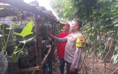 Dukung Ketahanan Pangan, Bhabinkamtibmas Tipes Sambangi Lahan Pertanian