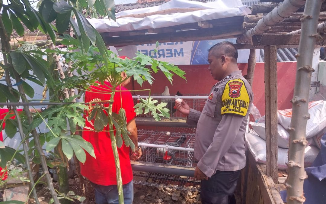 Bhabinkamtibmas Tipes dan Babinsa Pantau Lahan Ketahanan Pangan, Dorong Pemanfaatan Optimal untuk Kesejahteraan Warga