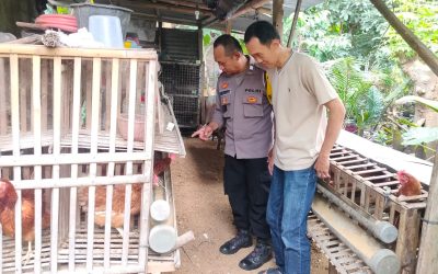 Bhabinkamtibmas Sumber Sambang dan Monitoring Ketahanan Pangan Warga, Dorong Produktivitas Mandiri
