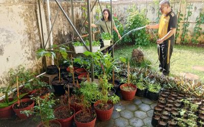 Bhabinkamtibmas Kerten Sambang Kamtibmas dan Pantau Ketahanan Pangan, Ajak Warga Unduh Aplikasi SiOLOS