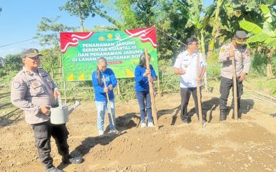 Polsek Jebres Dukung Ketahanan Pangan Nasional lewat Penanaman Jagung Serentak Kuartal III