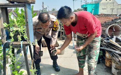 Bhabinkamtibmas Jagalan Aiptu Tarmuji Laksanakan DDS dan Binluh Ketahanan Pangan di Wilayah Binaan