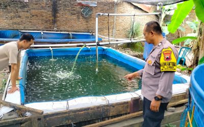 Bhabinkamtibmas Sumber Sambangi Peternakan Ikan Nila Warga, Sampaikan Binluh Ketahanan Pangan