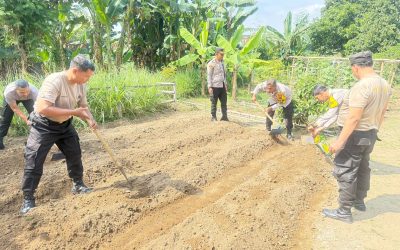 Polsek Jebres Siapkan Lahan untuk Penanaman Jagung Serentak, Dipimpin Langsung Kapolsek
