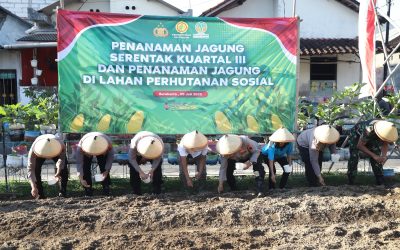 Dukung Swasembada Pangan Nasional 2025 : Polresta Surakarta Gelar Penanaman Jagung Serentak Kuartal III
