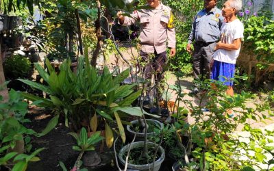 Dukung Ketahanan Pangan, Bhabinkamtibmas Serengan Sambangi Pembibitan Buah Milik Warga