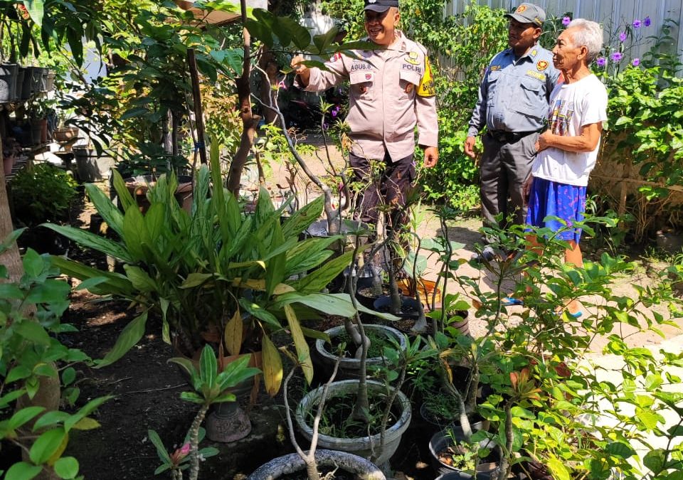 Dukung Ketahanan Pangan, Bhabinkamtibmas Serengan Sambangi Pembibitan Buah Milik Warga