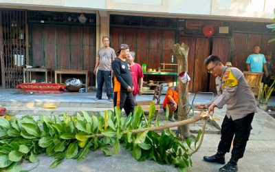 Bhabinkamtibmas Keprabon Bersama Linmas dan TKPK Sampah Tebang Pohon di Sekitar Pasar Triwindu