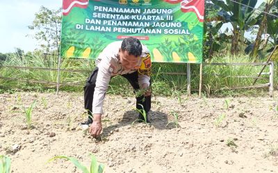 Bhabinkamtibmas Pucangsawit Sambang dan Bantu Perawatan Kebun Ketahanan Pangan KWT Pucang Lestari