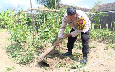 Dukung Ketahanan Pangan, Bhabinkamtibmas Pucang Sawit Lakukan Perawatan Tanaman