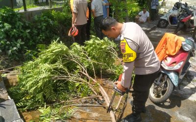 Bhabinkamtibmas Kelurahan Jajar Bersama Linmas dan BPBD Evakuasi Pohon Tumbang di Bantaran Sungai Fajarindah