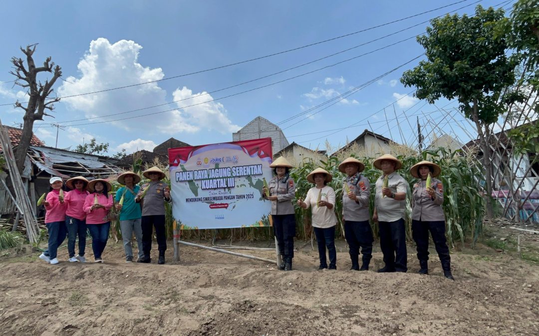 Dukung Ketahanan Pangan Nasional, Polresta Surakarta Gelar Panen Raya Jagung Serentak di Poktan Sumber Berkah