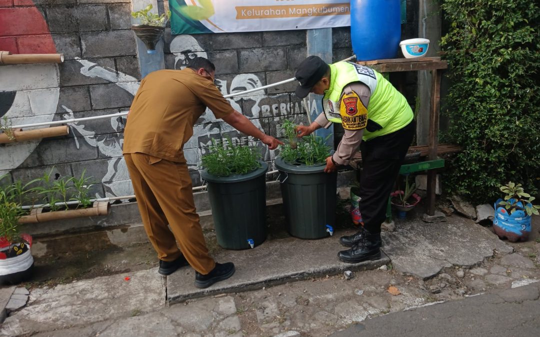 Bhabinkamtibmas Mangkubumen Dukung Ketahanan Pangan Lewat Budidaya Tanaman dan Ikan dalam Ember (BUMDAMBER)
