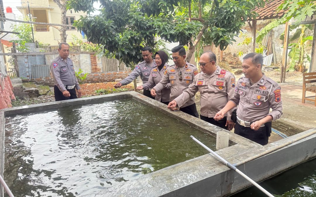 Dukung Ketahanan Pangan, Kapolresta Apresiasi Polsek Jebres Budidayakan Ratusan Kilo Ikan Lele dan Patin