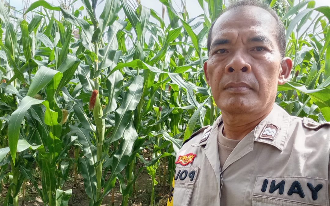 Dukung Ketahanan Pangan, Bhabinkamtibmas Kelurahan Joglo Laksanakan Sambang dan Monitoring Kelompok Tani