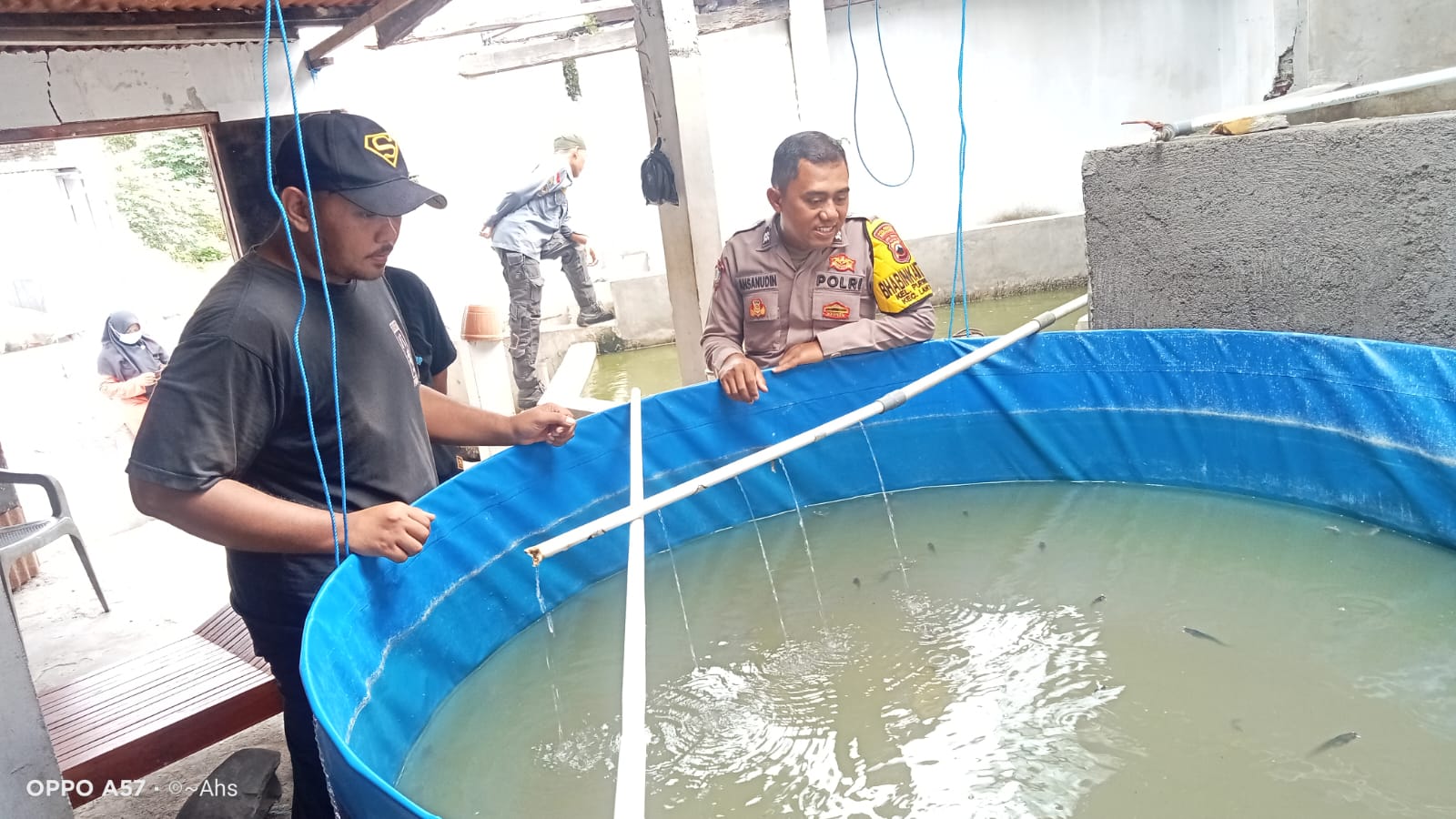 WhatsApp Image 2026-01-29 at 11.54.02