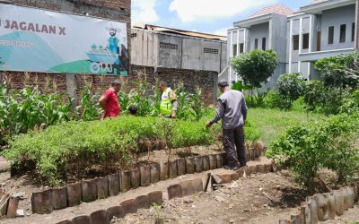 Dukung Ketahanan Pangan, Bhabinkamtibmas Jagalan Sambangi KWT RW 10