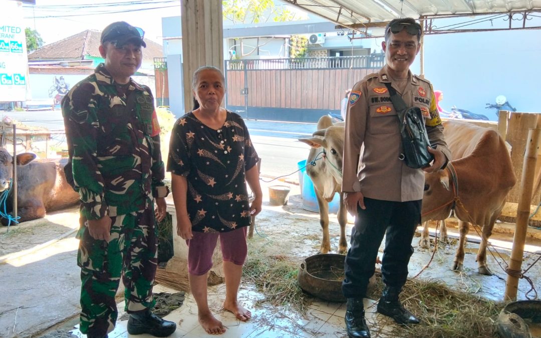 Jelang Hari Raya Iduladha 1447 Hijriah, Bhabinkamtibmas Kelurahan Pajang Bersama Babinsa Lakukan Pengecekan Hewan Kurban