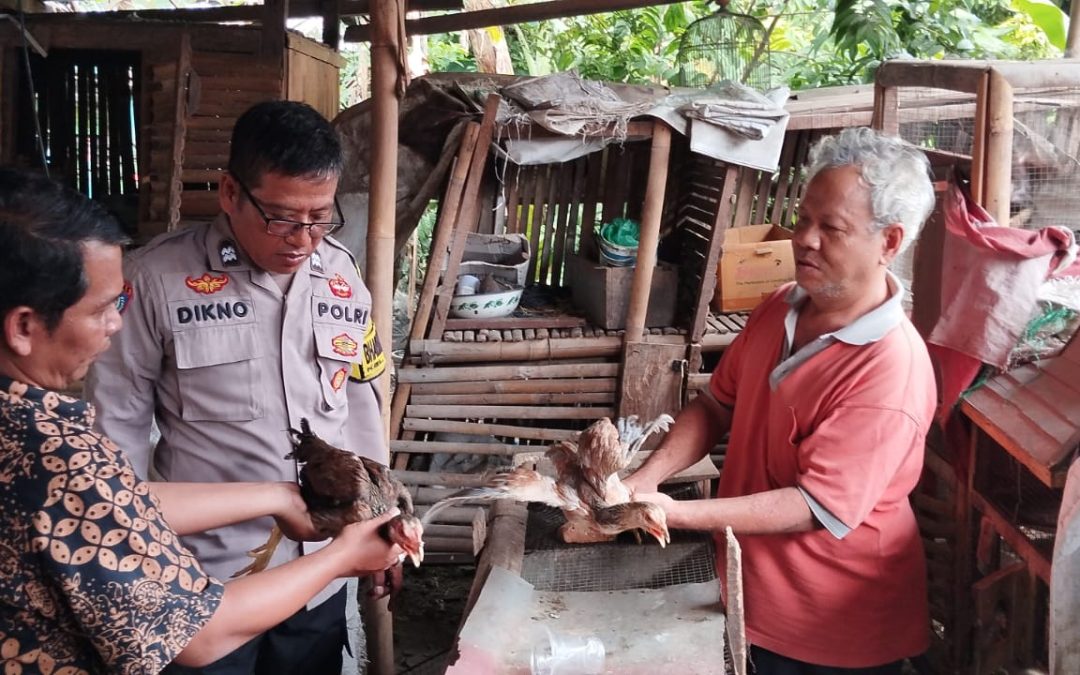 Bhabinkamtibmas Ketelan Pantau KWT, Dukung Budidaya Lele dan Unggas untuk Ketahanan Pangan