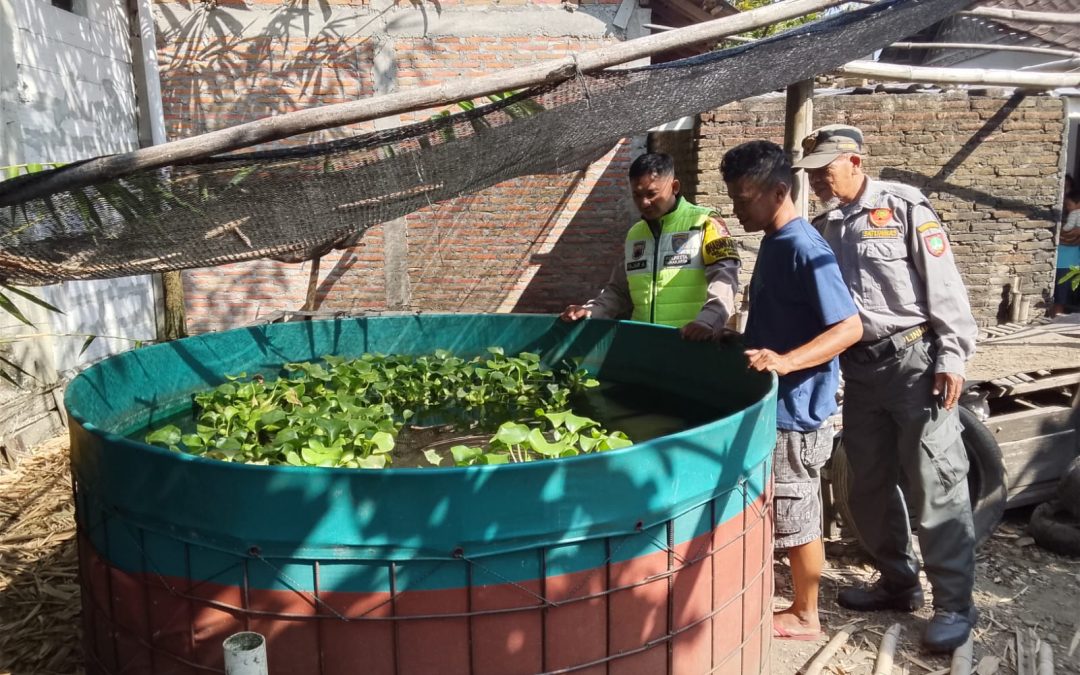 Bhabinkamtibmas Joyotakan Dorong Ketahanan Pangan Melalui Budidaya Ikan Patin Mandiri Warga