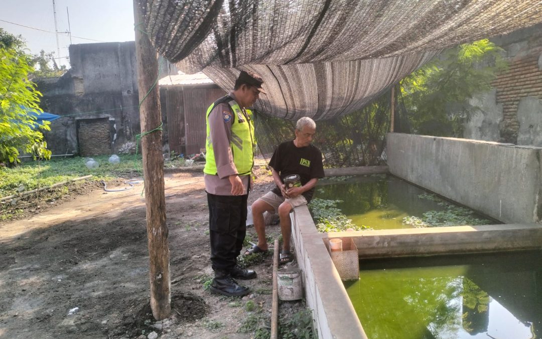 Dukung Ketahanan Pangan, Bhabinkamtibmas Pasar Kliwon Monitoring Budidaya Lele Warga
