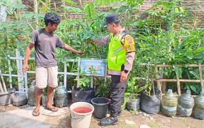 Bhabinkamtibmas Kampung Baru Monitoring KWT Lestari, Dukung Ketahanan Pangan di Wilayah Binaan